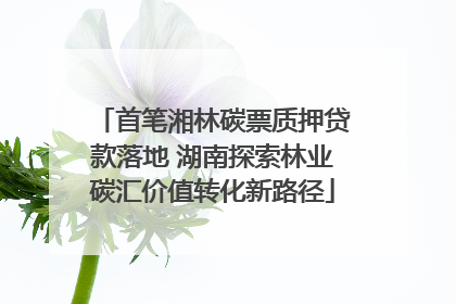 首笔湘林碳票质押贷款落地 湖南探索林业碳汇价值转化新路径
